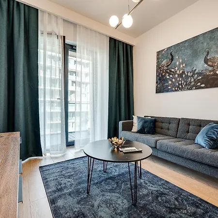 The Main Goreckiego - Mck, Nospr, Spodek Katowice