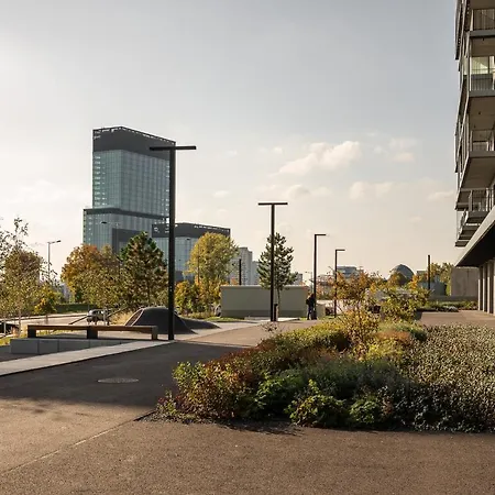 The Main Goreckiego - Mck, Nospr, Spodek