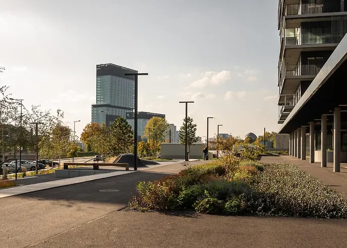 The Main Goreckiego - Mck, Nospr, Spodek